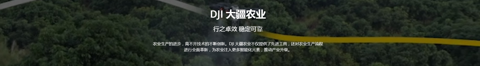&#20122;&#23089;&#20307;&#32946;