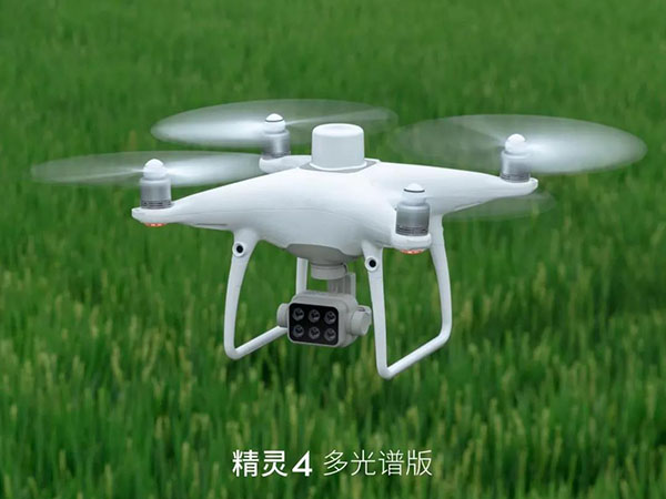 &#20122;&#23089;&#20307;&#32946;
