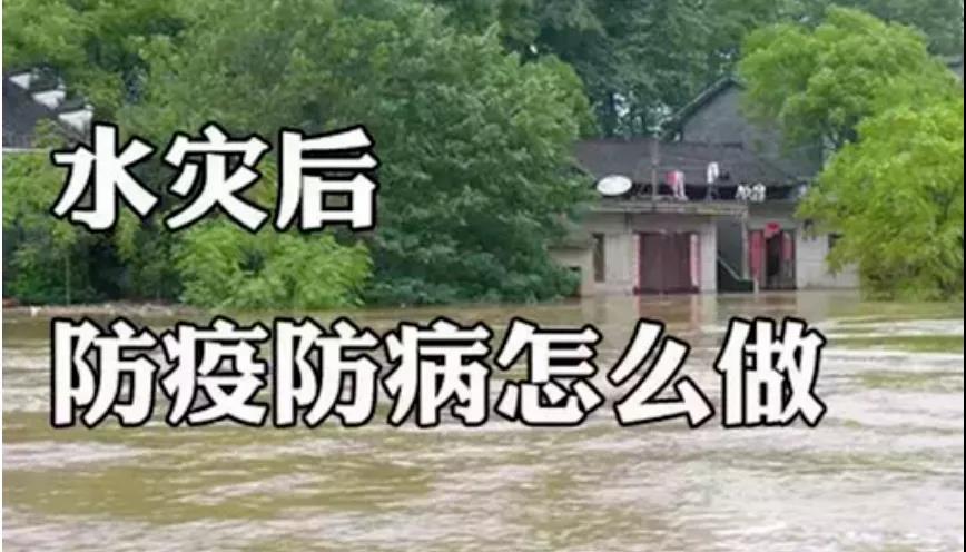 &#20122;&#23089;&#20307;&#32946;
