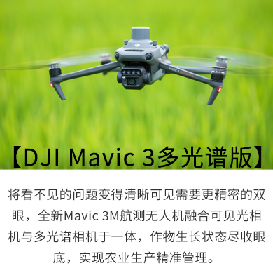 &#20122;&#23089;&#20307;&#32946;