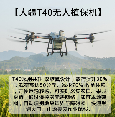 &#20122;&#23089;&#20307;&#32946;